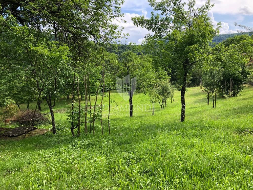 LUKOVDOL