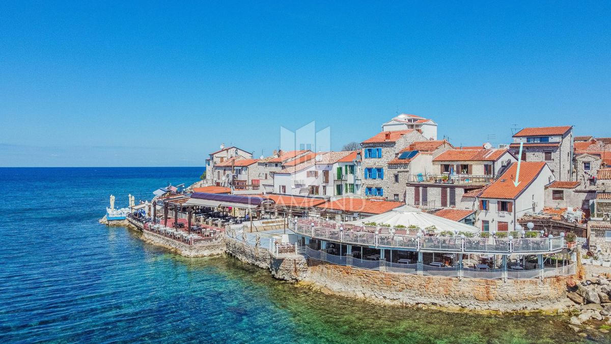 UMAG