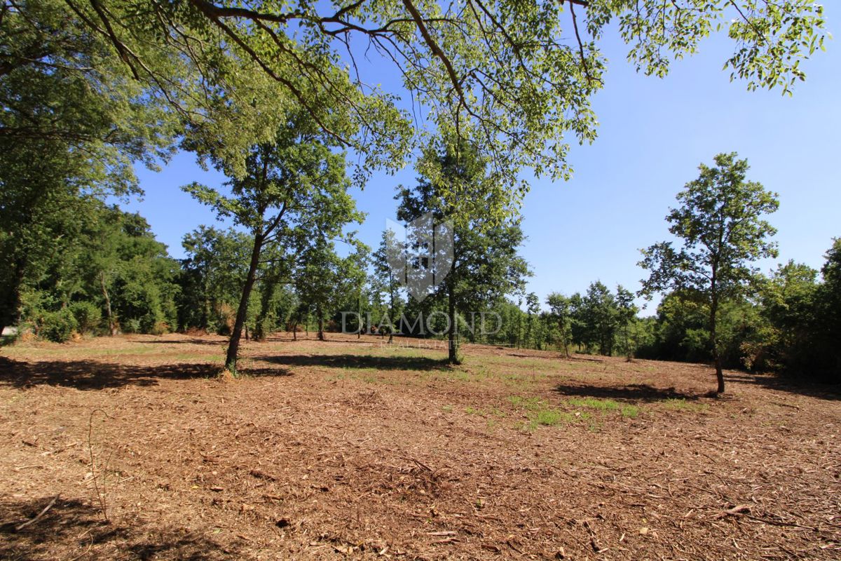 BARBAN