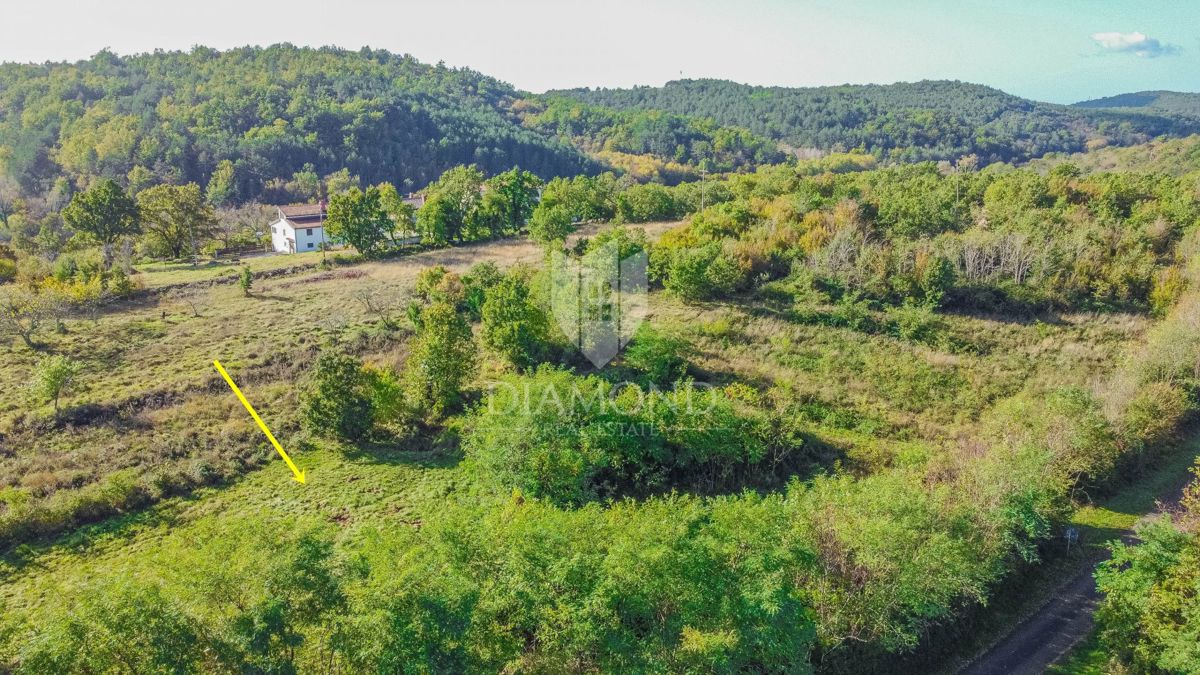 GROŽNJAN