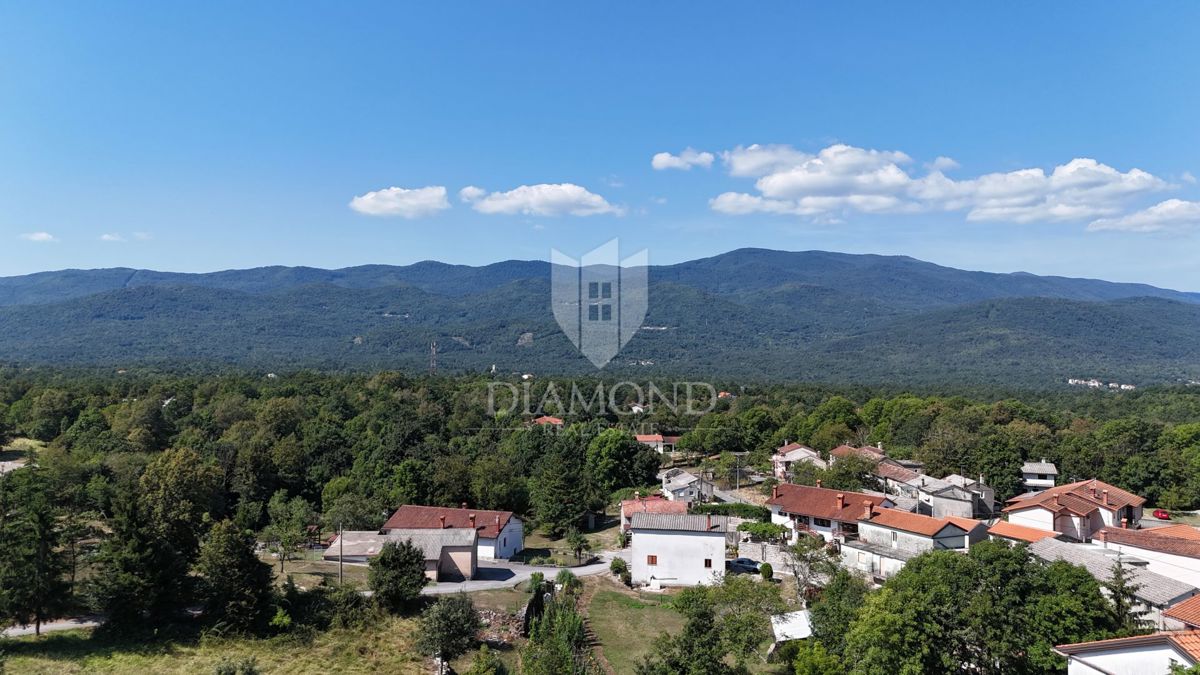 RUŽIĆI