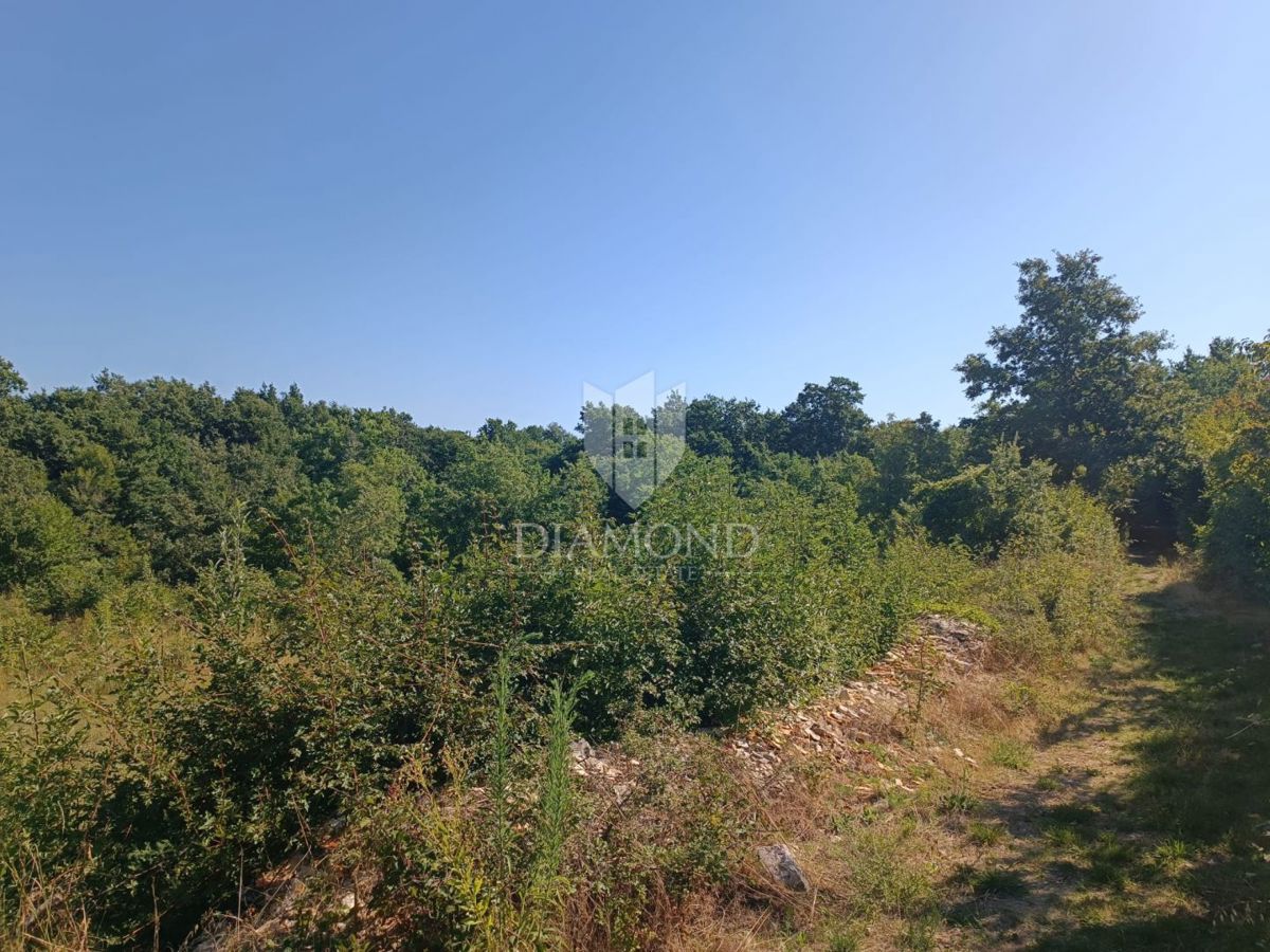 ČABRUNIĆI