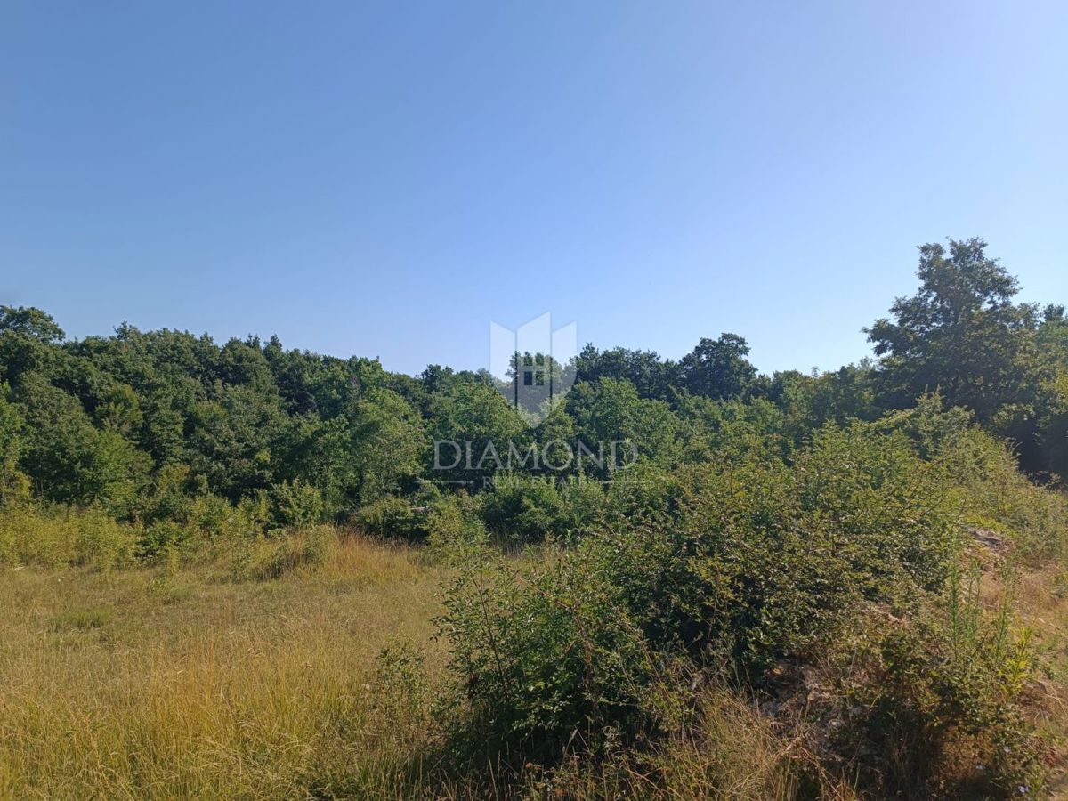 ČABRUNIĆI