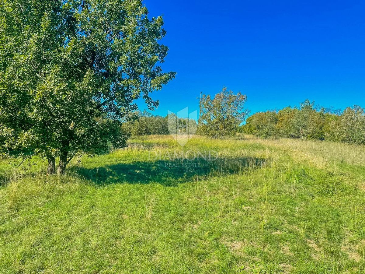 Terreno GROŽNJAN, 220.000 €