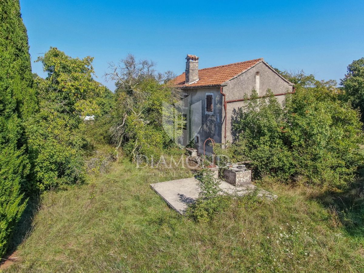 ŽMINJ