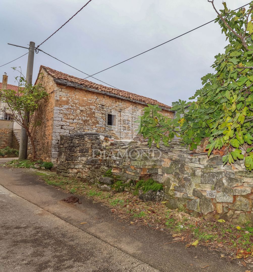 ŽMINJ