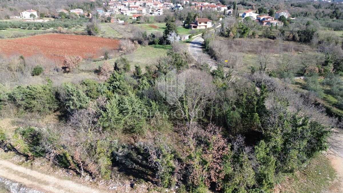 MARČANA