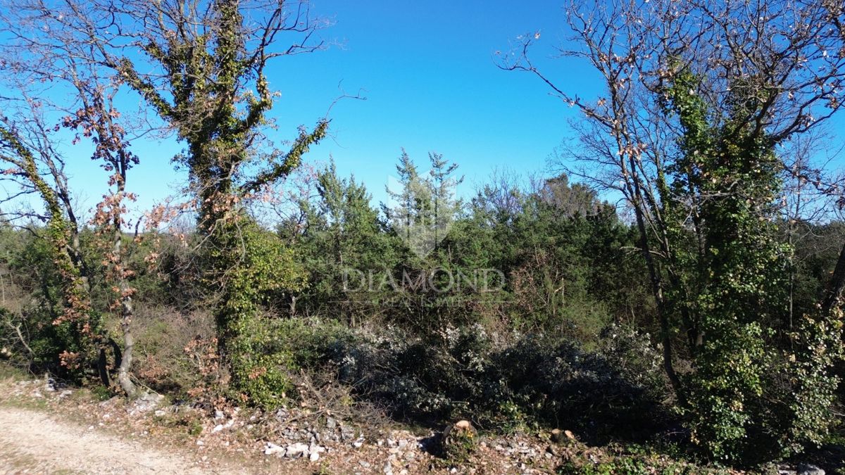 MARČANA