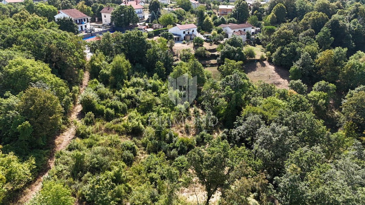 MLADENIĆI