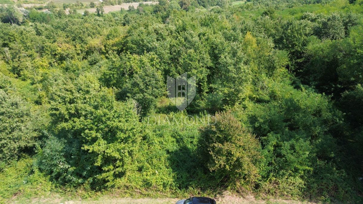 PIĆAN