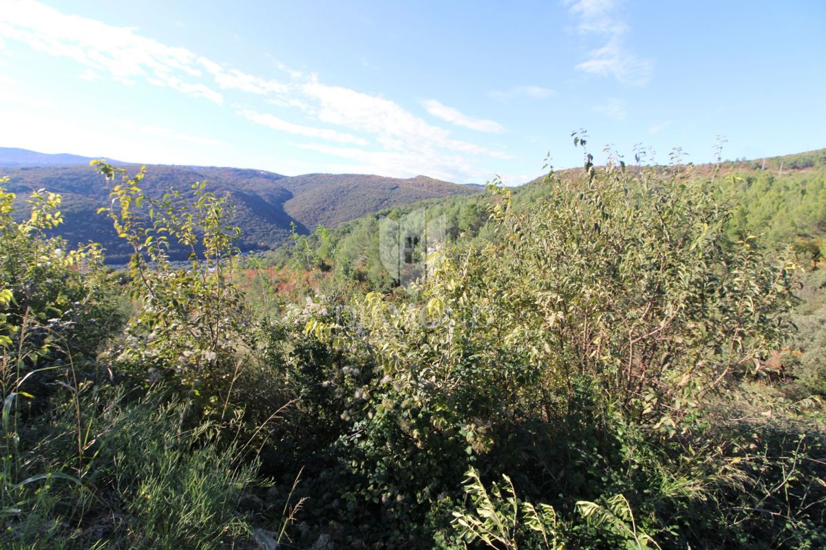 LABIN