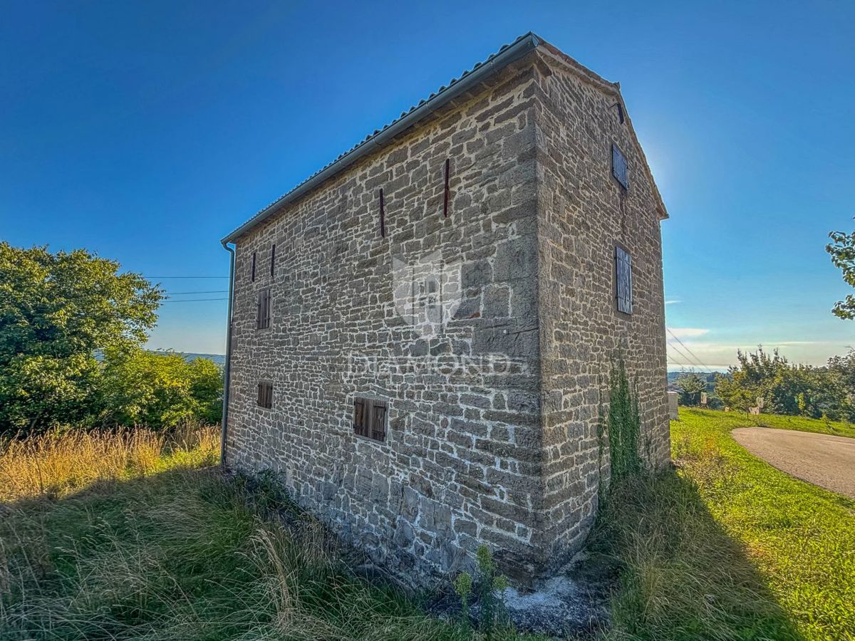 BUJE