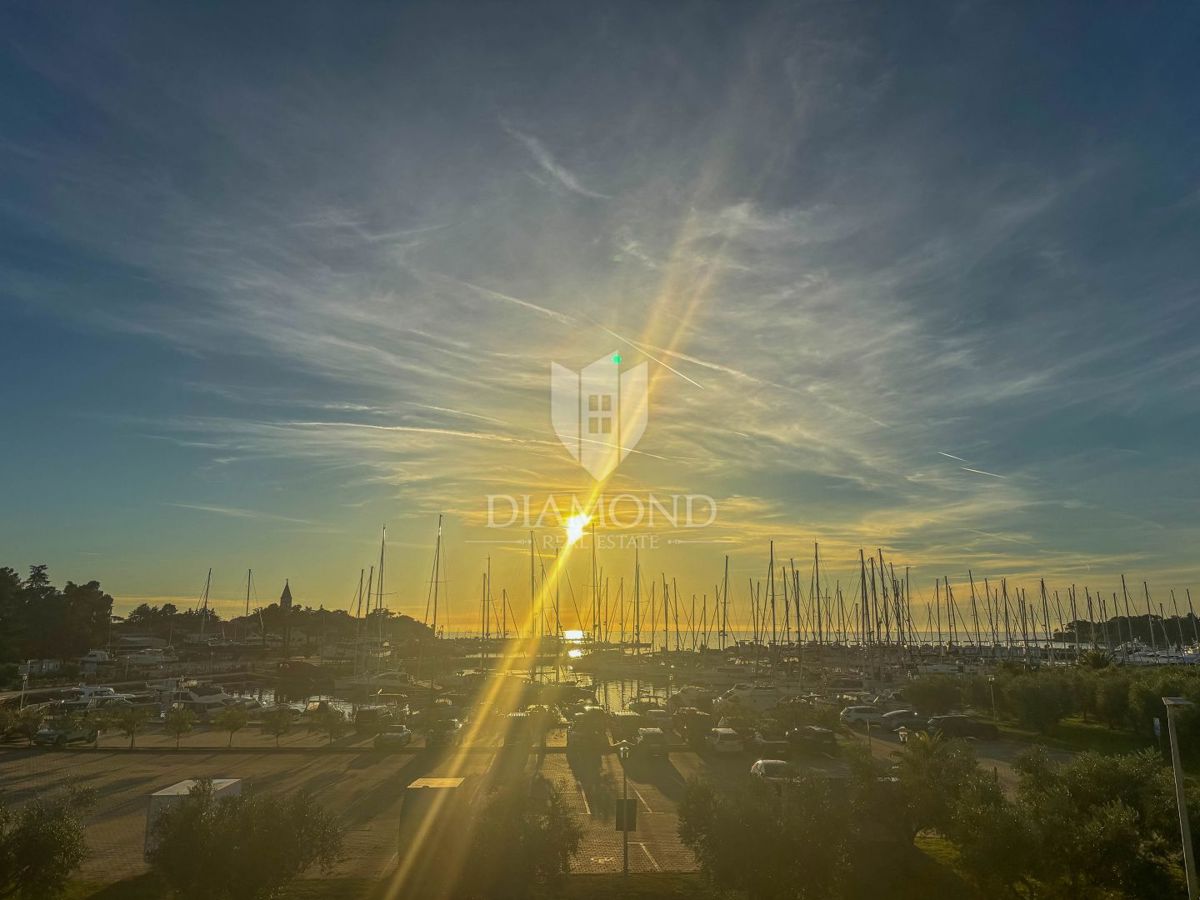 NOVIGRAD