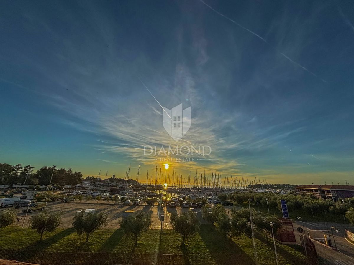 NOVIGRAD