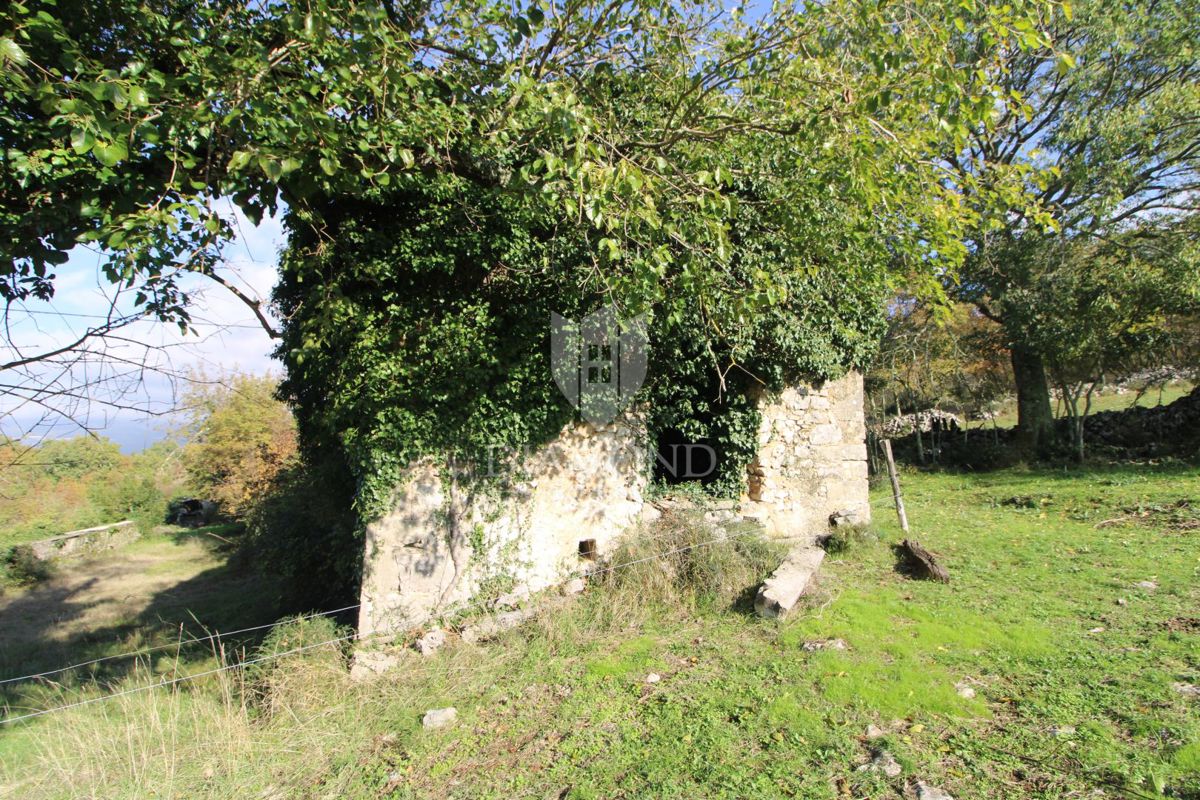 BOLJUN