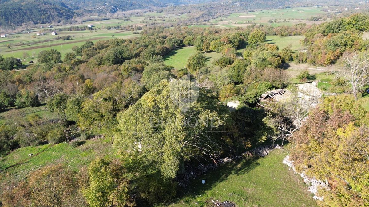 BOLJUN