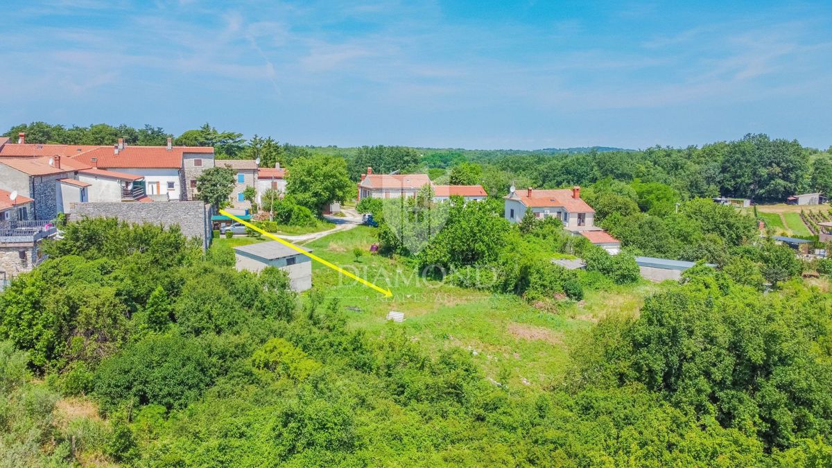 BRTONIGLA