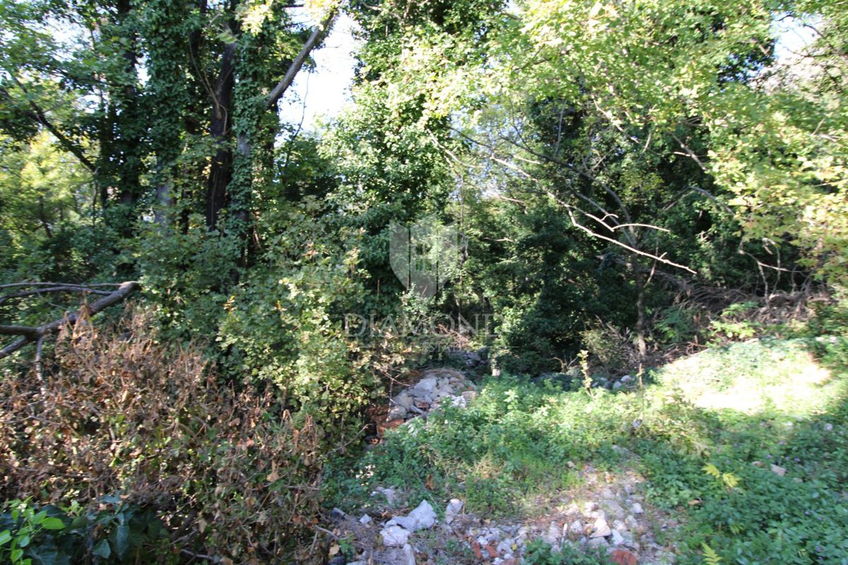 CRIKVENICA