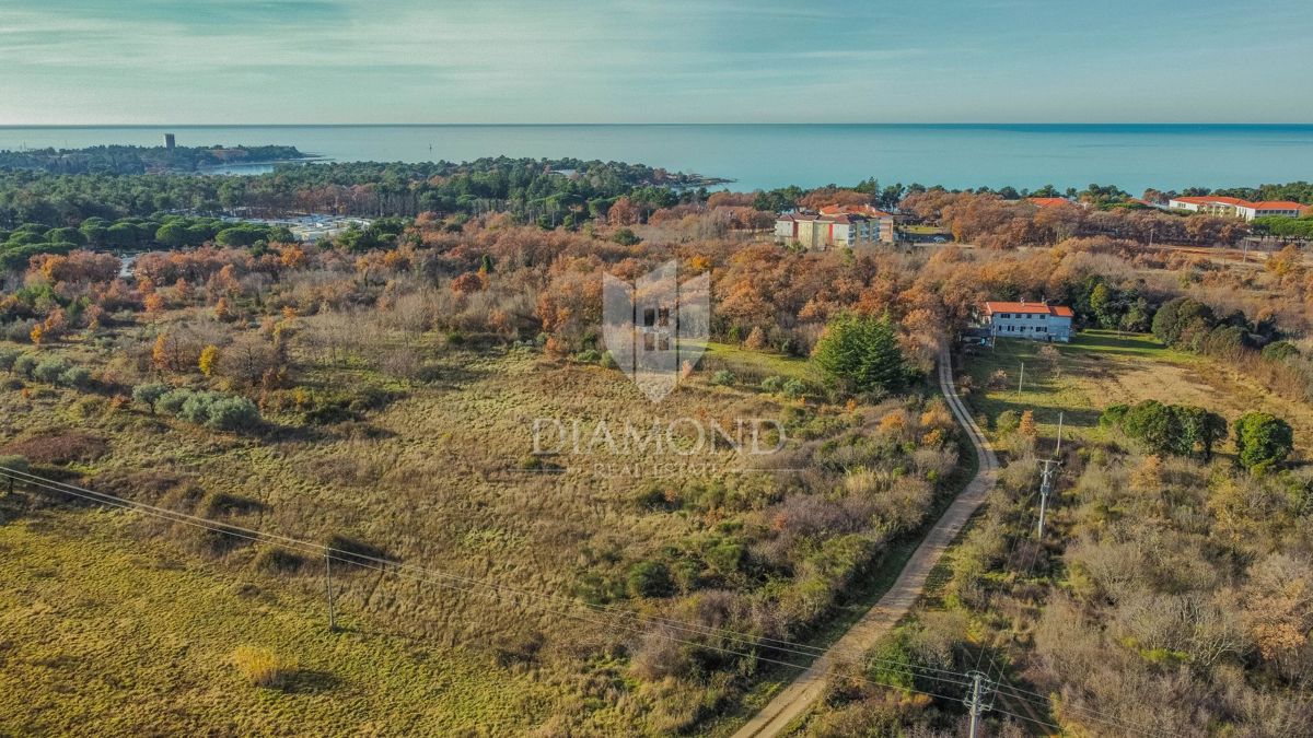 UMAG
