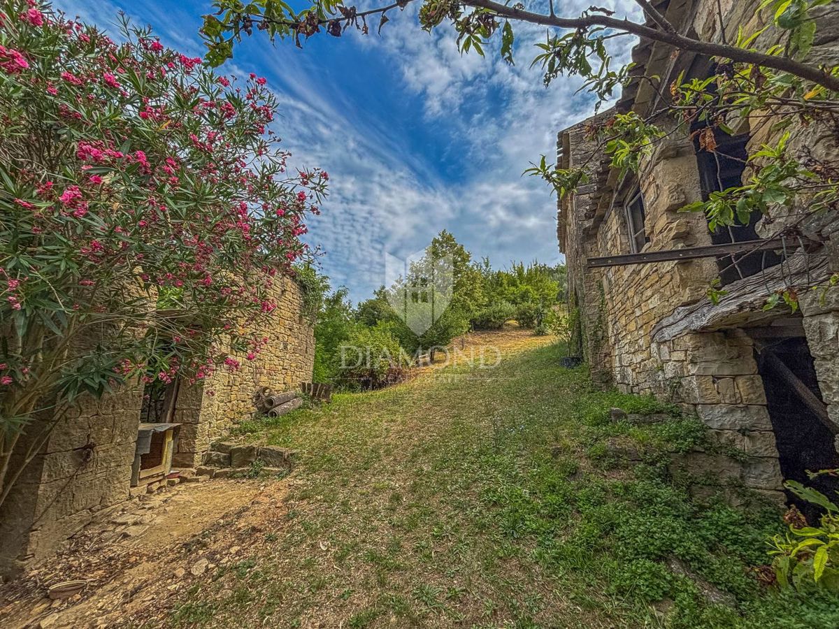 MOTOVUN