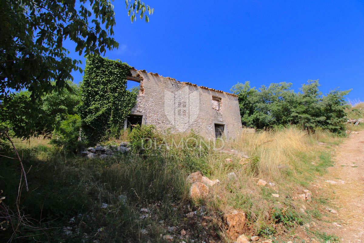 LABIN