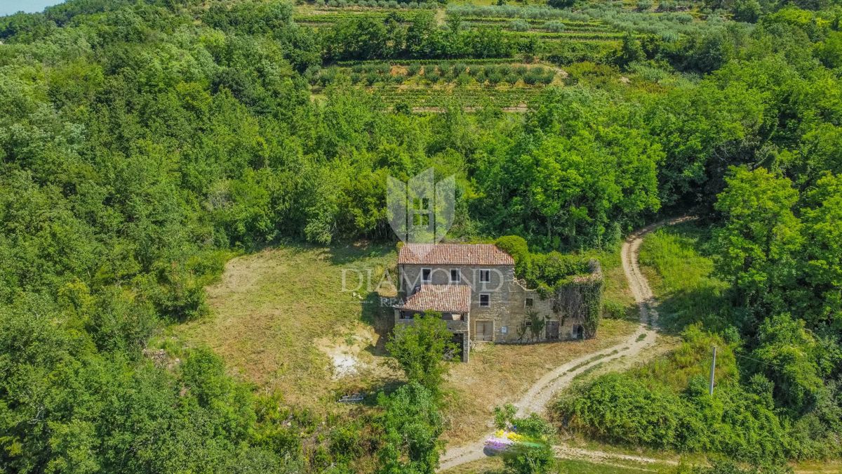MOTOVUN