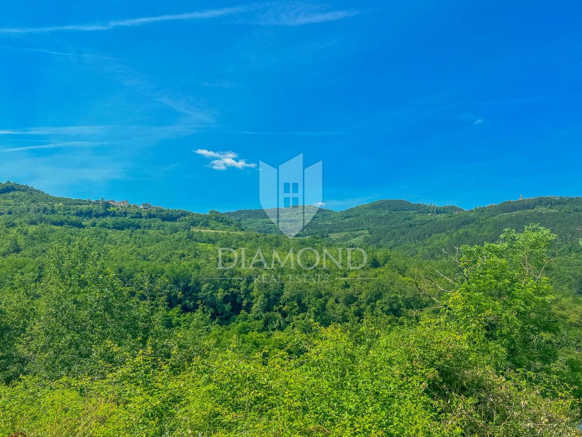 MOTOVUN