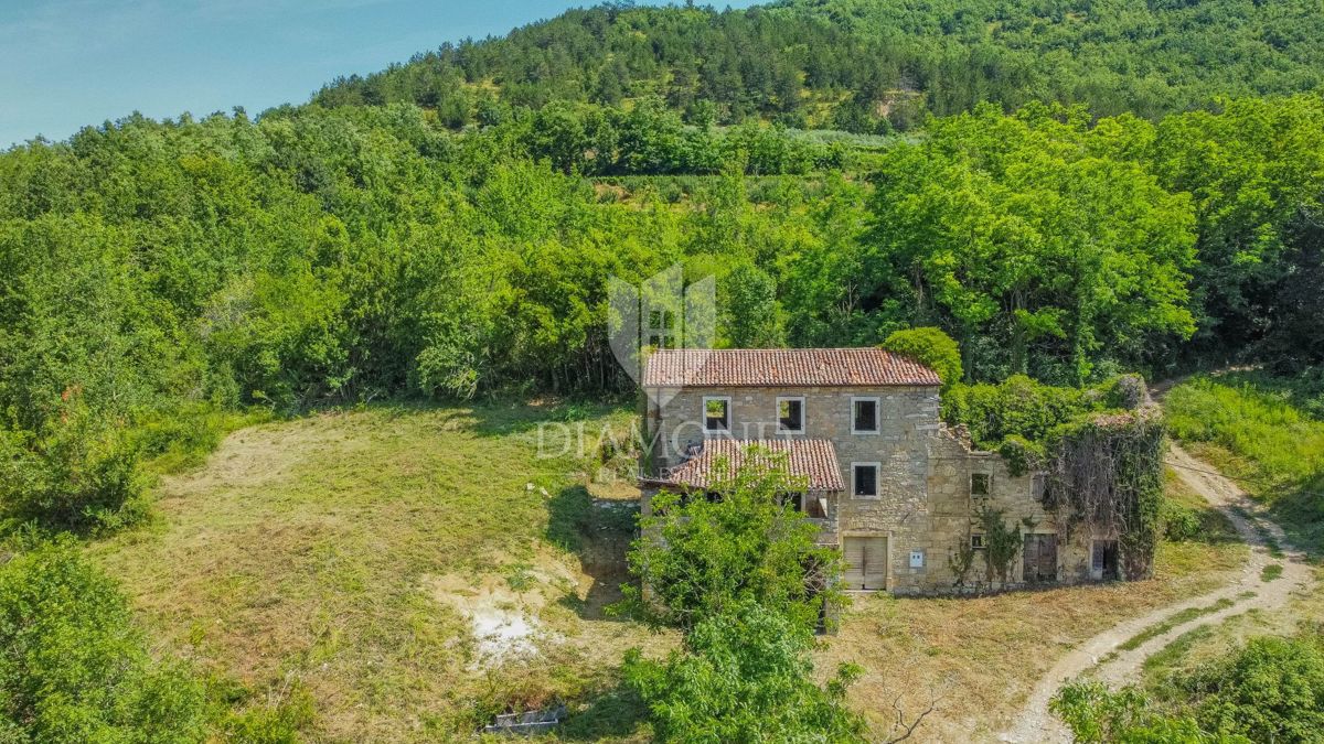 MOTOVUN