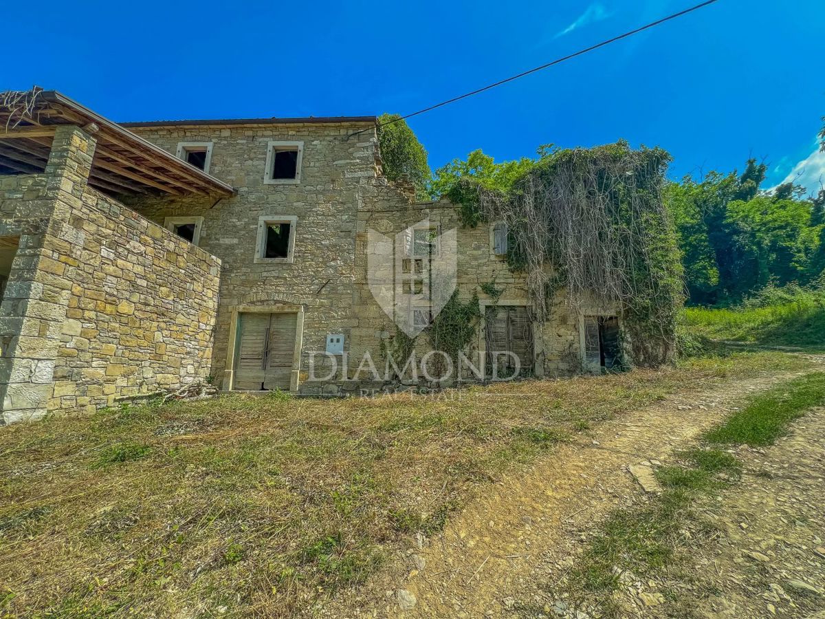 MOTOVUN