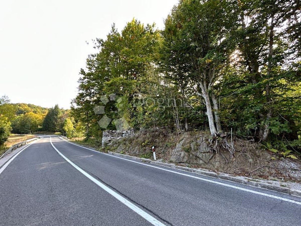 BAŠKE OŠTARIJE