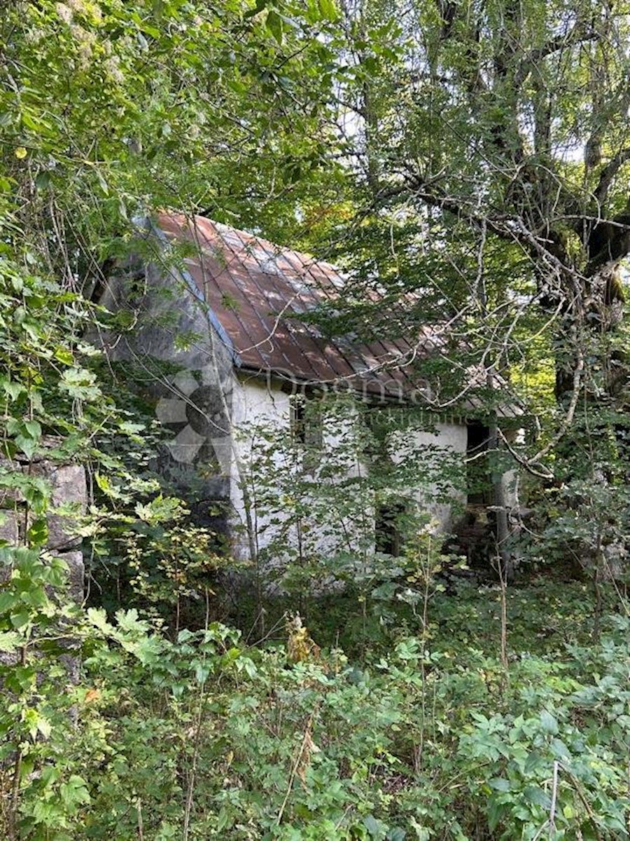 BAŠKE OŠTARIJE