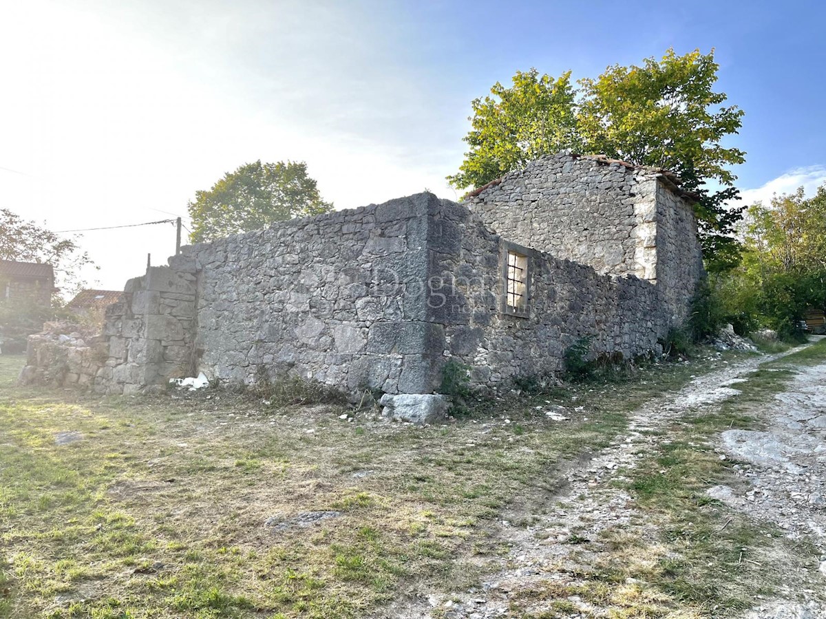 LUPOGLAV