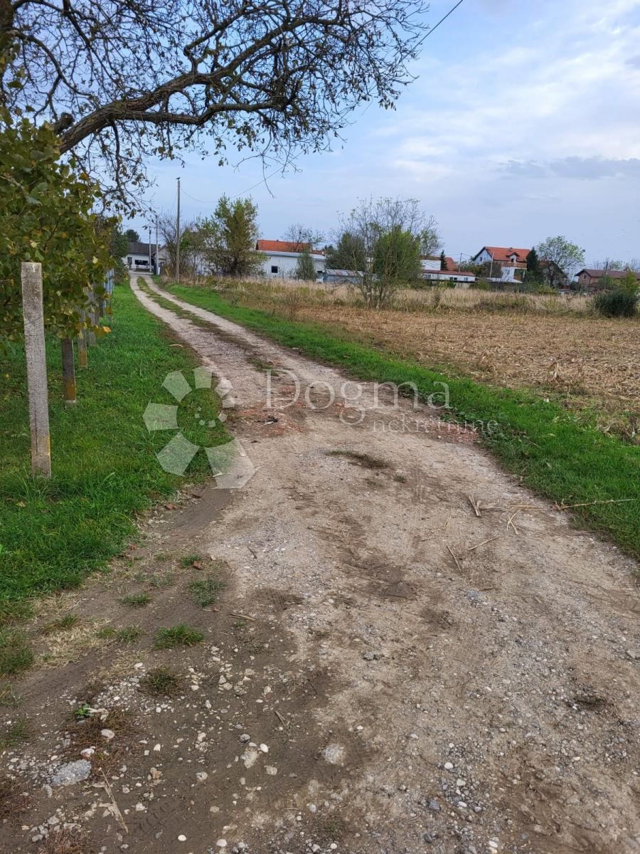 GORNJI ČEHI