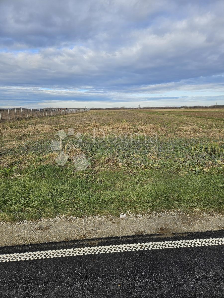 PETRIJANEC