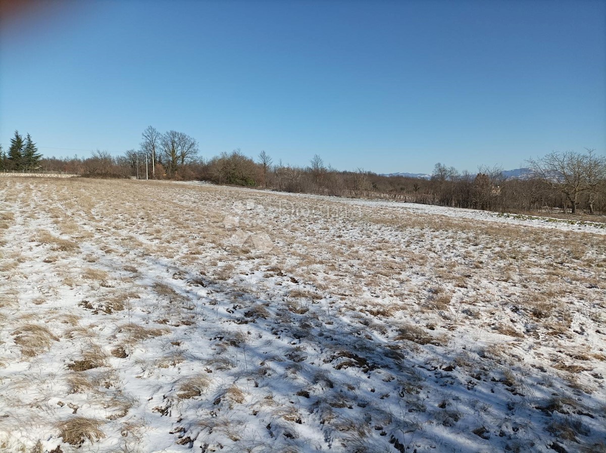 ŽMINJ