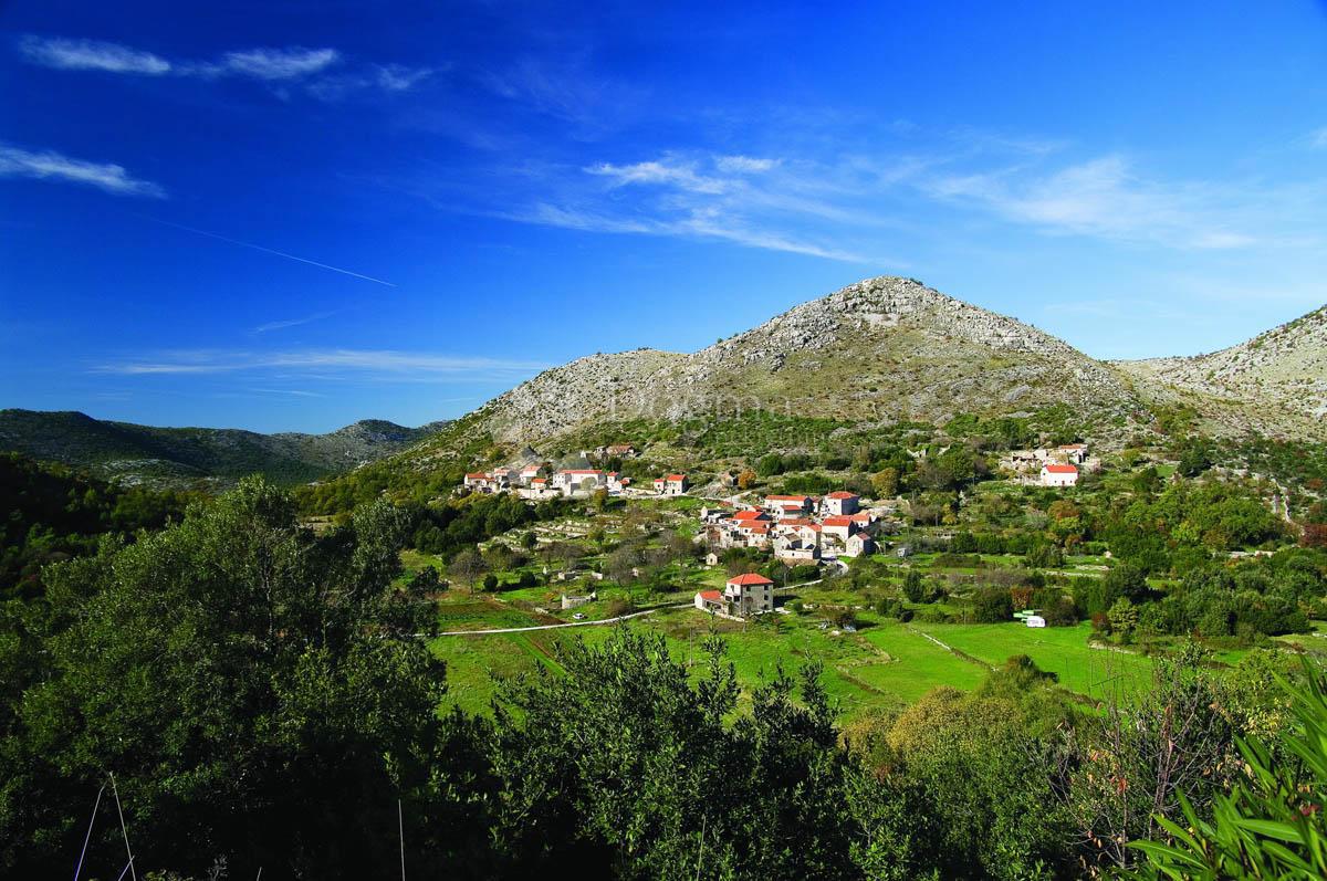 SMOKOVLJANI