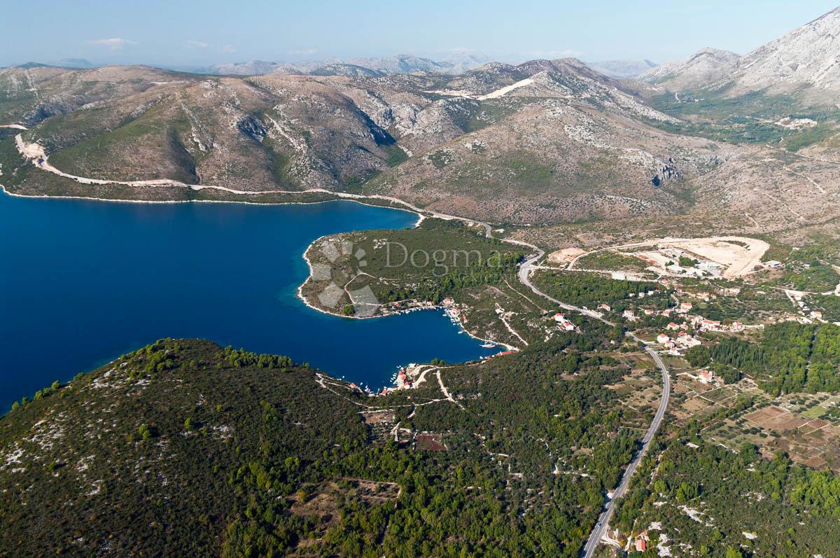 SMOKOVLJANI