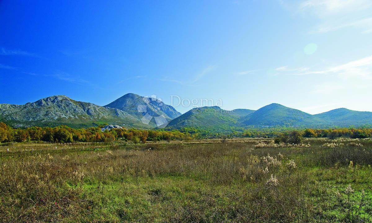 SMOKOVLJANI