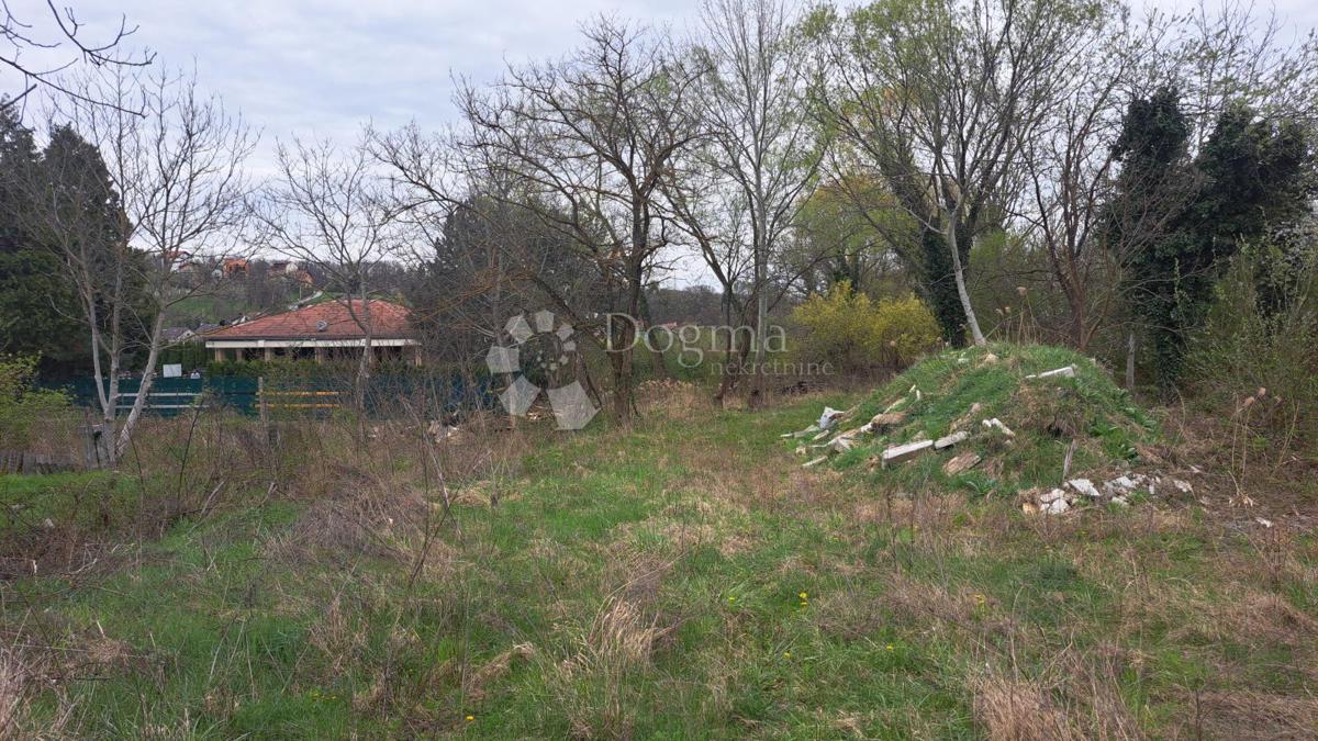 MARKUŠEVEC
