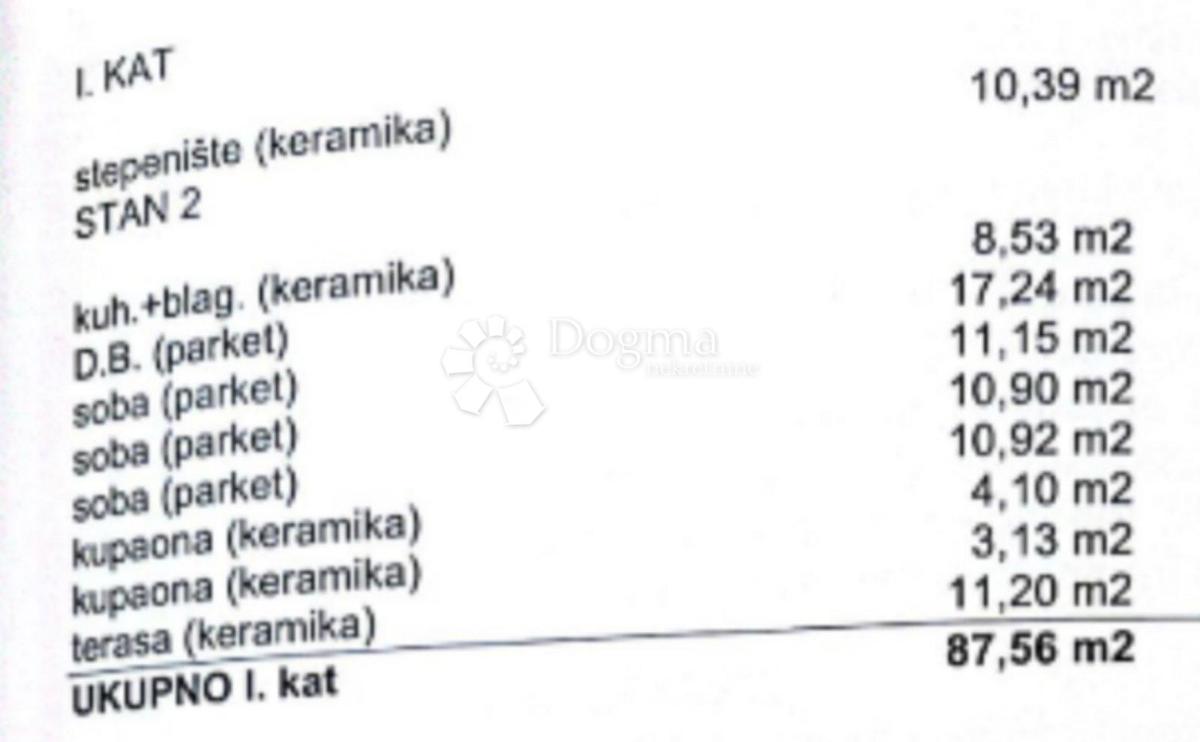 ČIŽIĆI