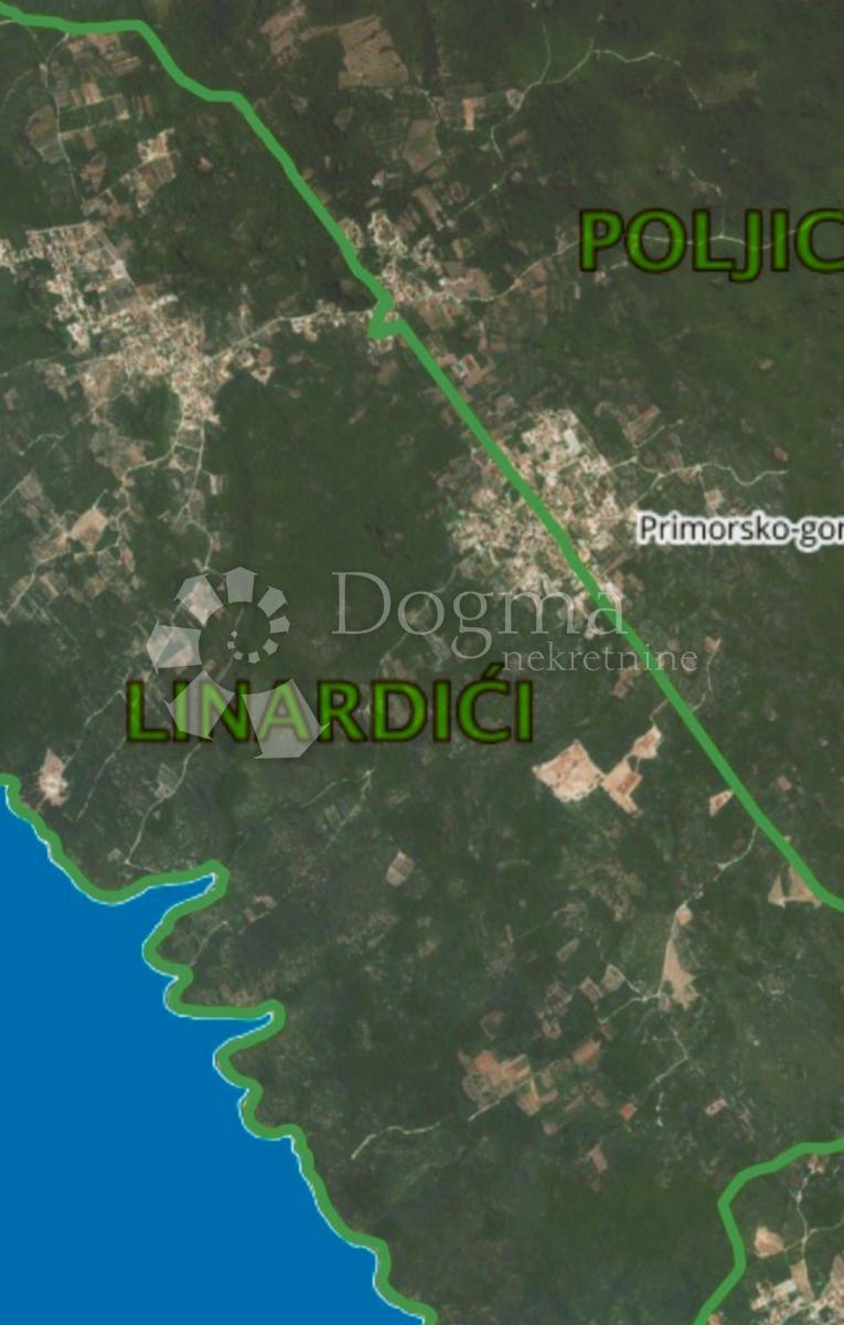 LINARDIĆI