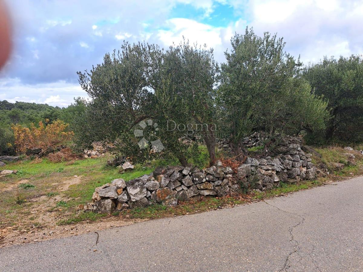 HVAR