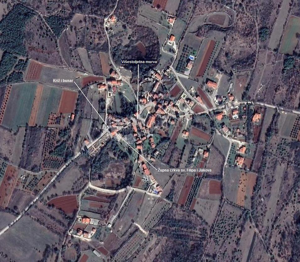 DIVŠIĆI