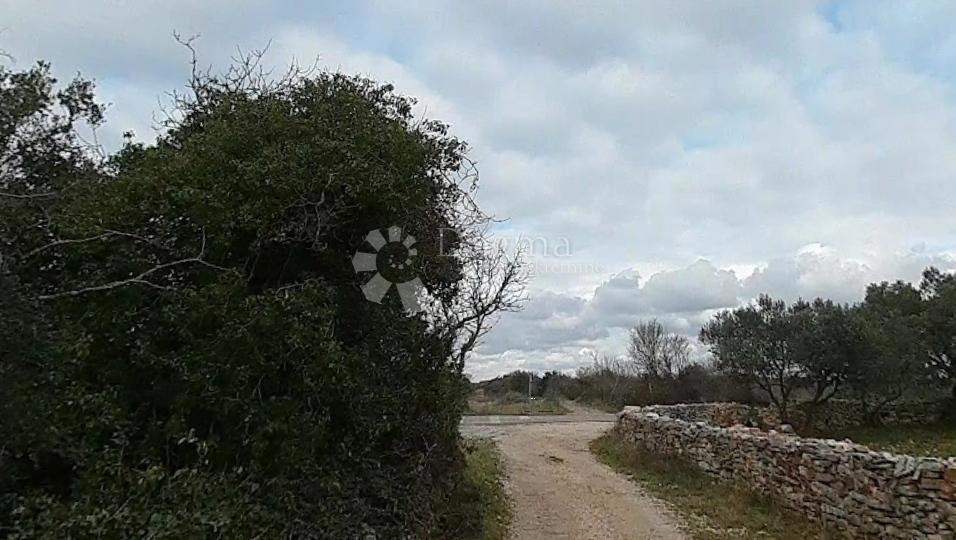 FAŽANA