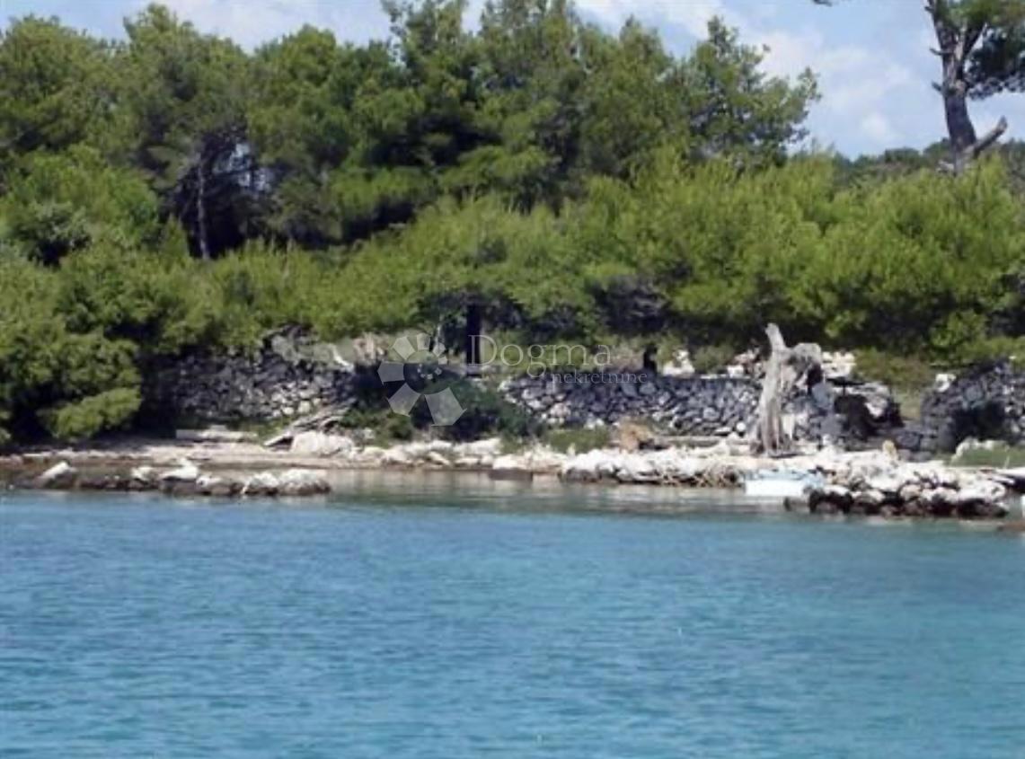 PAŠMAN