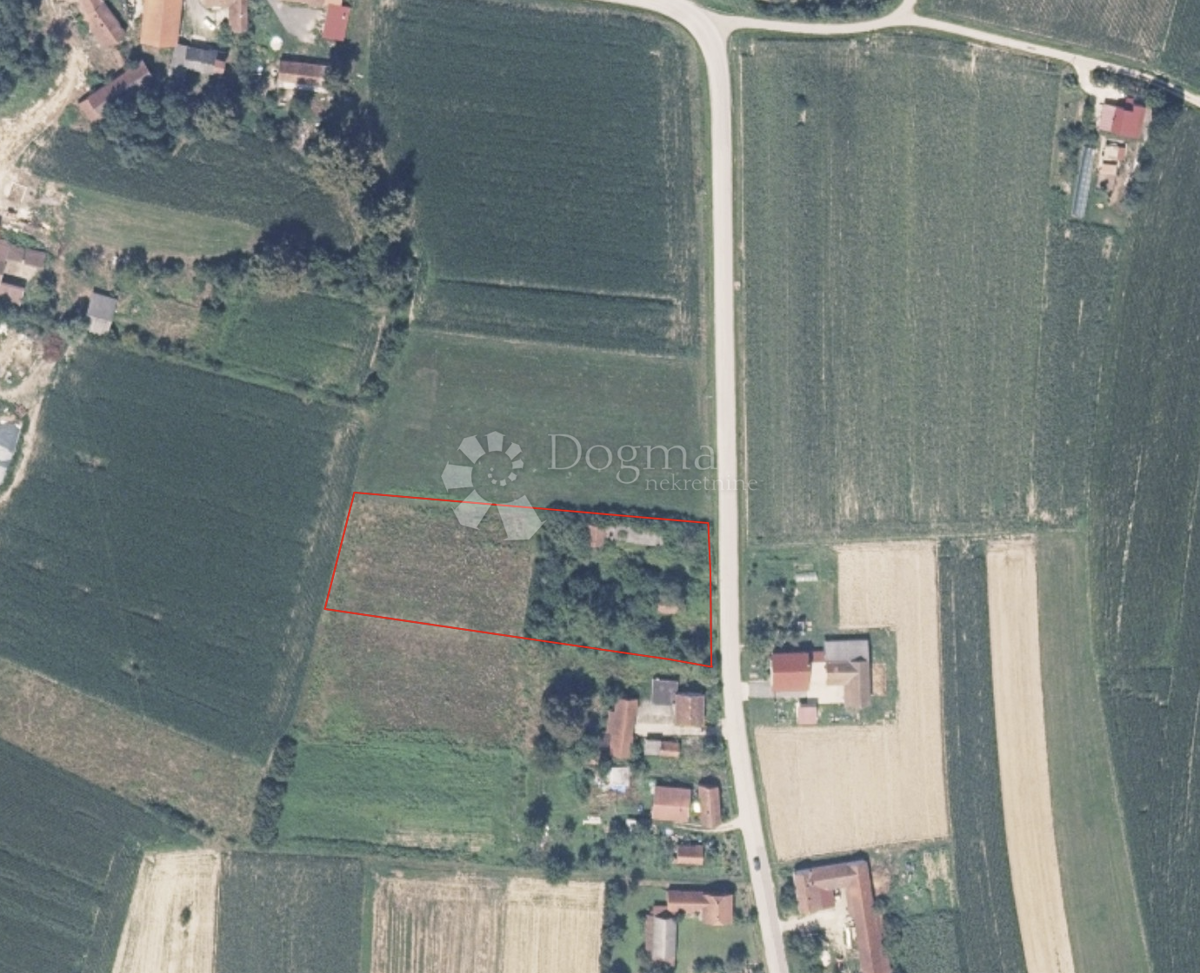 KORITNA