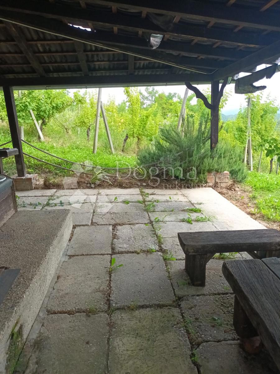 GORNJA VOĆA