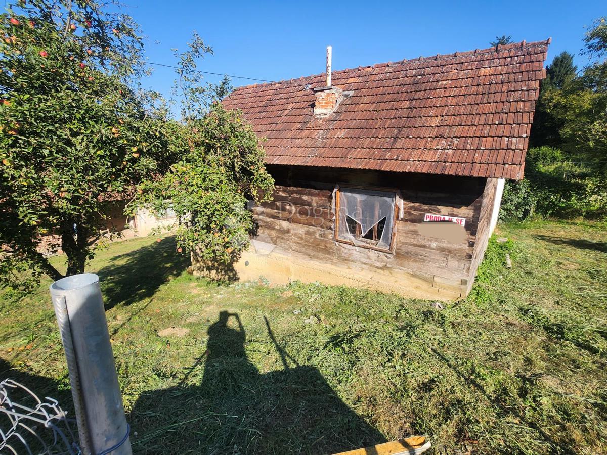 LEPAJCI