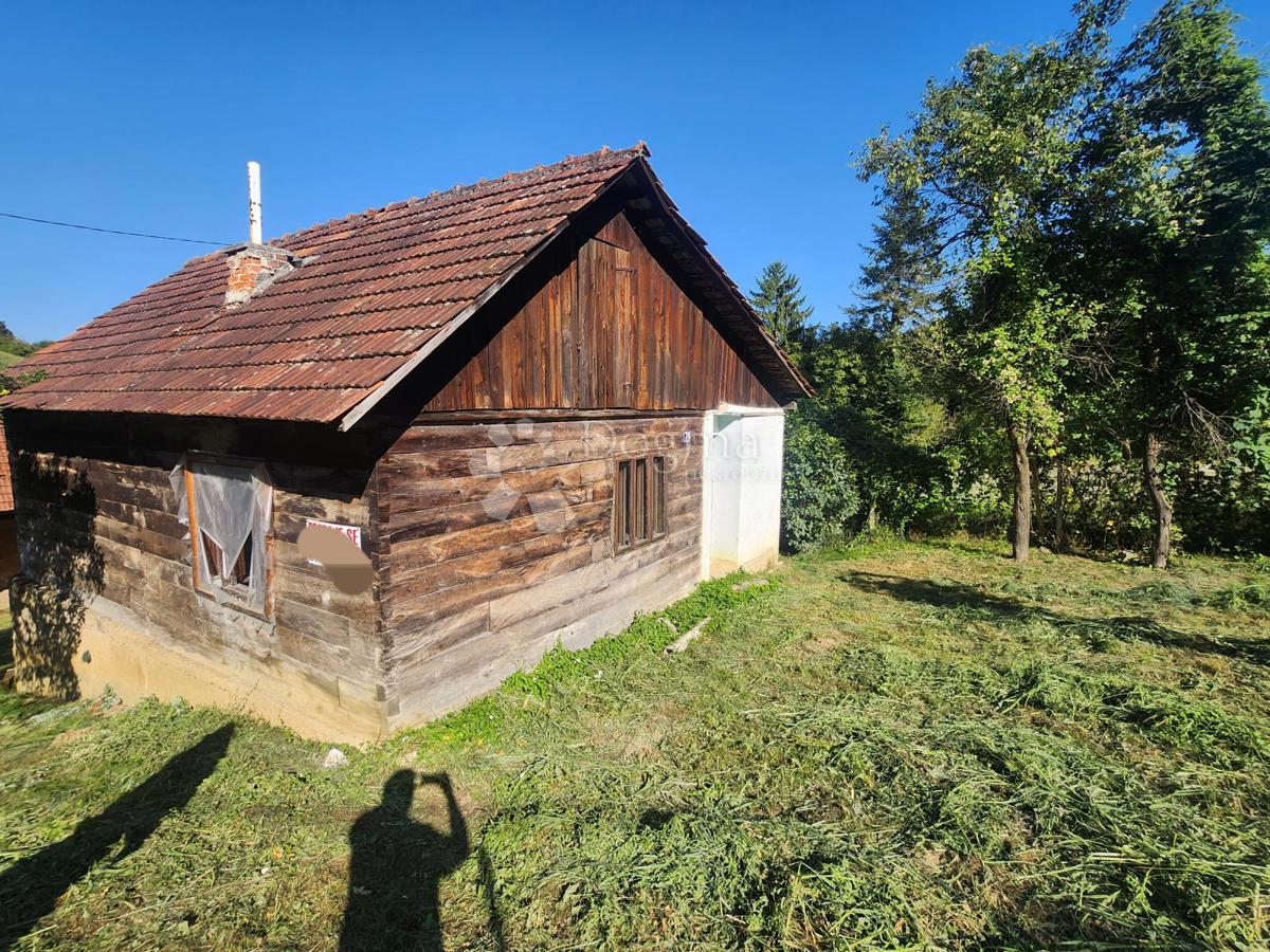 LEPAJCI