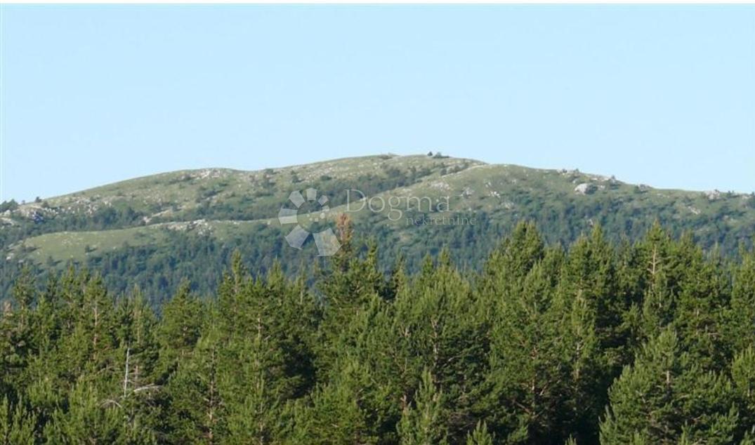 BROD MORAVICE
